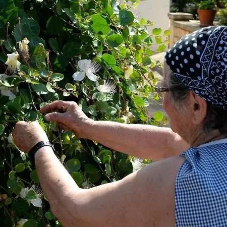 Laire Masseria Farm stay Alberobello